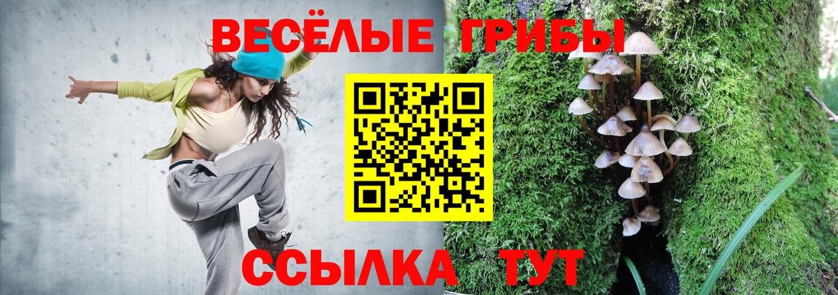 Новороссийск  Галлюциногенные грибы мицелий  Вход с VPN 