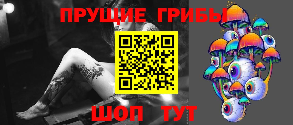 Галлюциногенные грибы Psilocybine cubensis Новороссийск